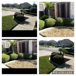 Lawn Care