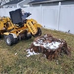 Approaching the mound