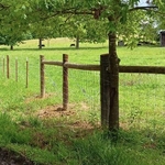 Pasture Fence