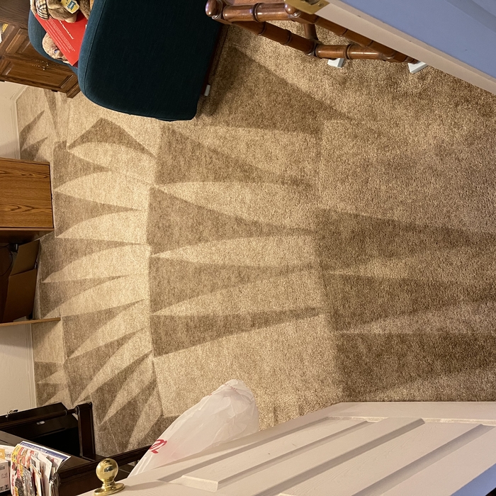 Shark teeth, Fresh Carpet!