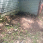 Debris Removal