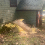 Junk Removal