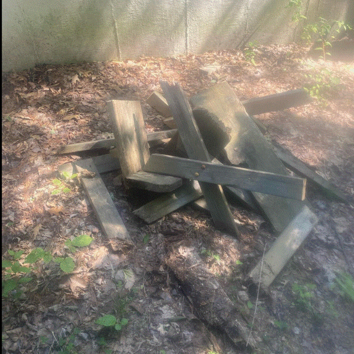 Junk Removal
