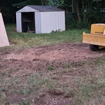 Stump Grinding