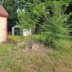 Stump Grinding