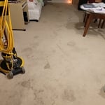 Carpet cleaning