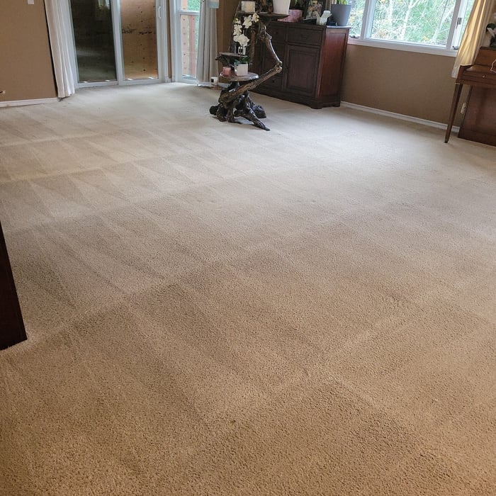 Carpet cleaning
