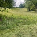 heavy duty mowing