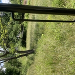 heavy duty mowing