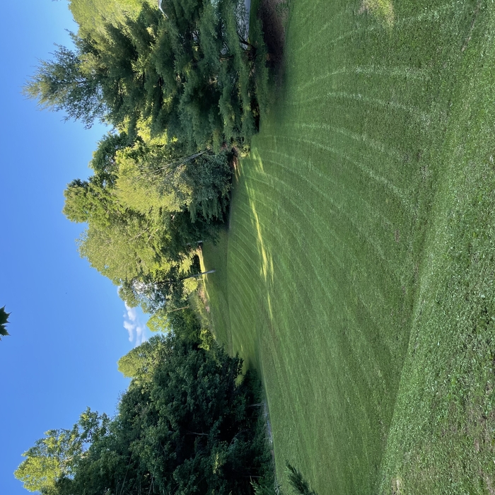 lawn care