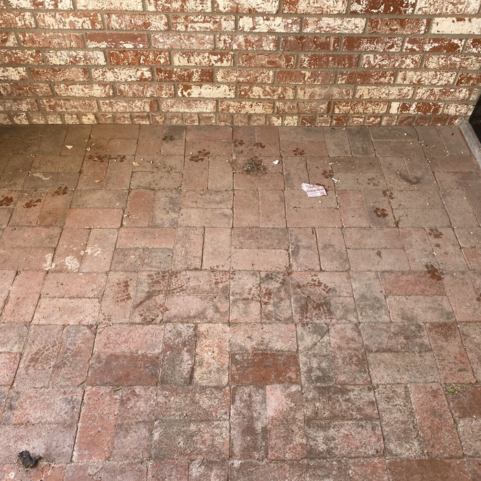 Patio Wash-Before