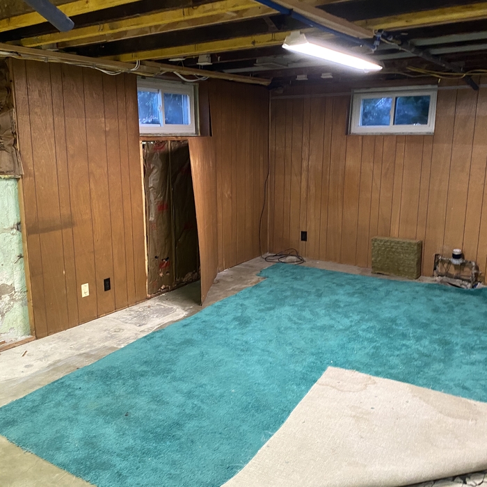 basement finish