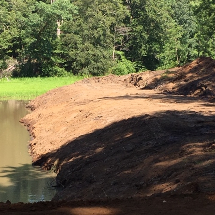 Pond Bank