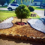 Lawn Beautification