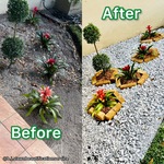 Lawn Beautification