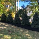 Our work