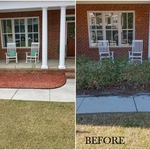 Mulch & Plant replacement