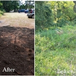 Commercial Land Clearing
