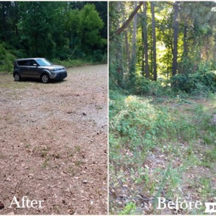 Commercial Land Clearing