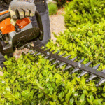 Shrub/Hedge Trimming