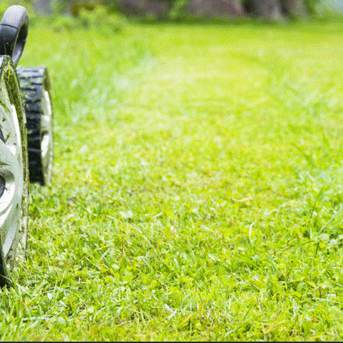 Lawn Maintenance