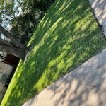 Our work