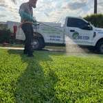 Treating The Lawn