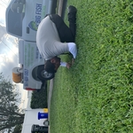 Lawn inspection