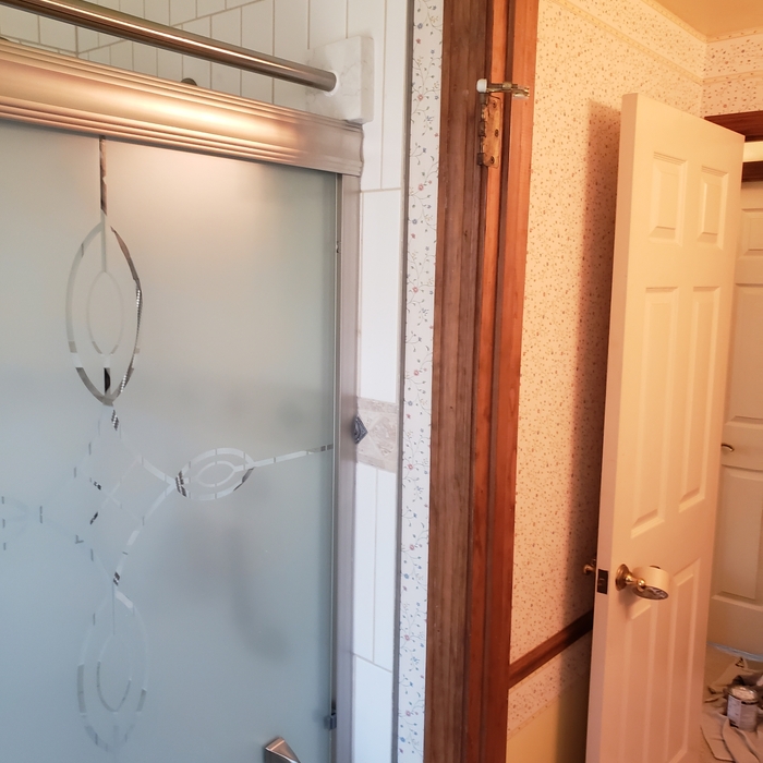 Shower door
