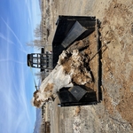 Hauling Tree Trunk