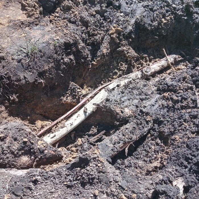Tree root broke main like