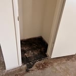 Entry Closet