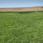 A healthy thick lawn means no weeds