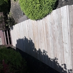 Back Walkway 1