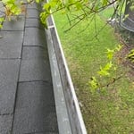 Gutter cleaning