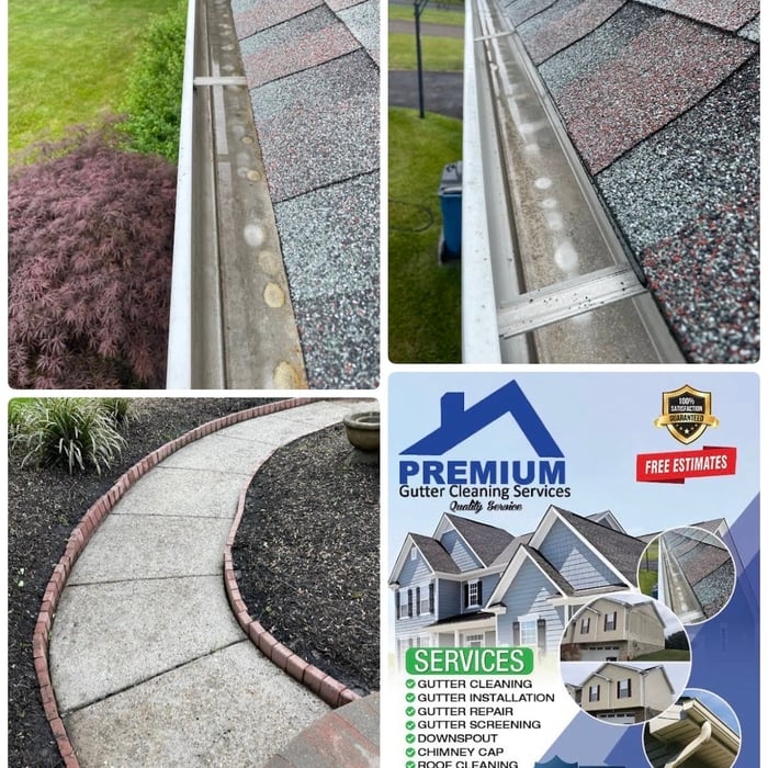 Gutter Cleaning