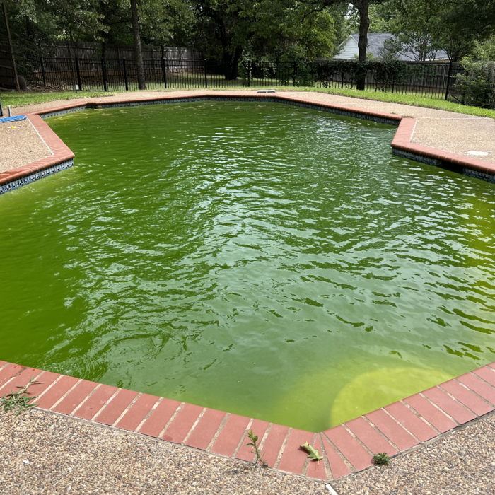 Green to Clean
