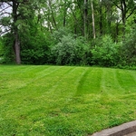 Mowing
