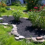 Lawn care