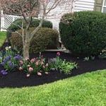 Lawn care
