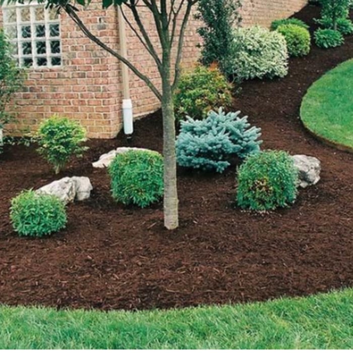 Lawn care