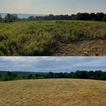 Dickson TN Field Clearing