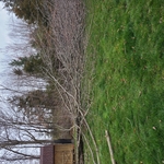 Fulton Missouri Job