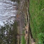 Fulton Missouri Job