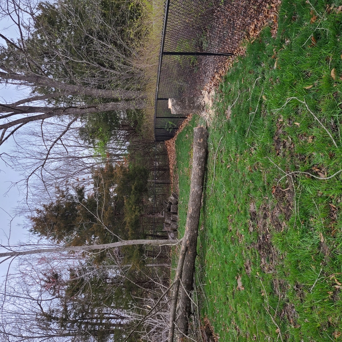Fulton Missouri Job