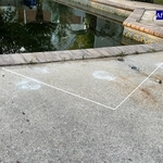 Pool Deck