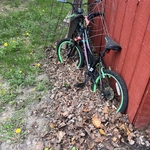 Leaf clean up