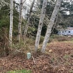 Mulching/land clearing