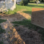 Stumps After