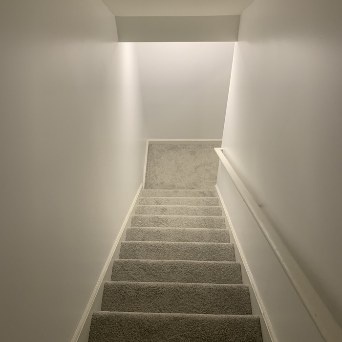 Basement Paint/Drywall